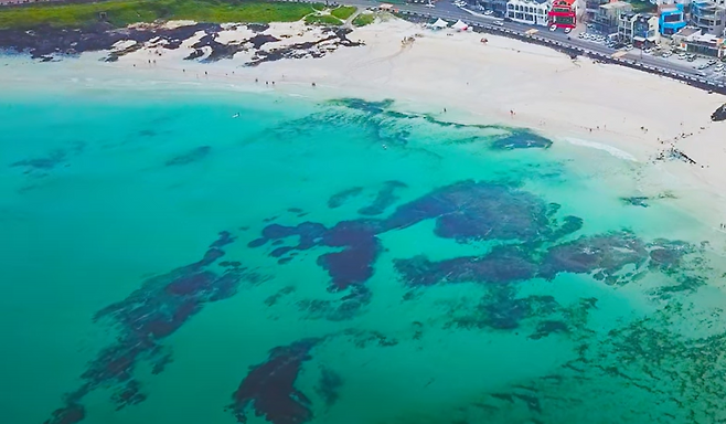 제주 월정리 해수욕장.[유튜브 채널 ‘제주니아’ 갈무리]