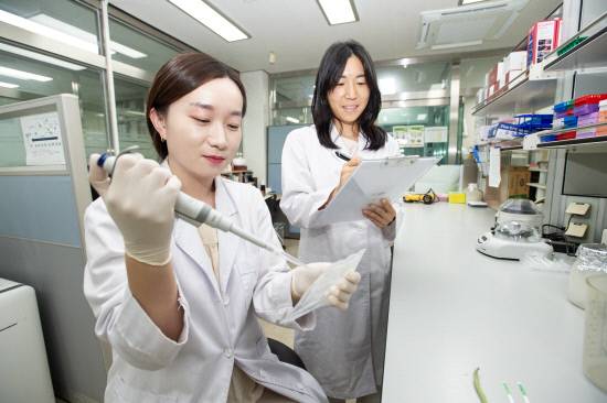 경남도농업기술원이 지난 4월부터 '병해충 정밀검사기관'을 본격적으로 가동하면서 은 과수 농업의 안전망을 한층 강화하고 있다. 초고속 대응 체계를 마련함으로써, 병해충 확산 방지의 '골든타임'을 확보했다. 사진은 농업기술원 연구진이 병해충 진단키트를 활용한 시료 분석을 진행하고 있다.사진=경남도농업기술원