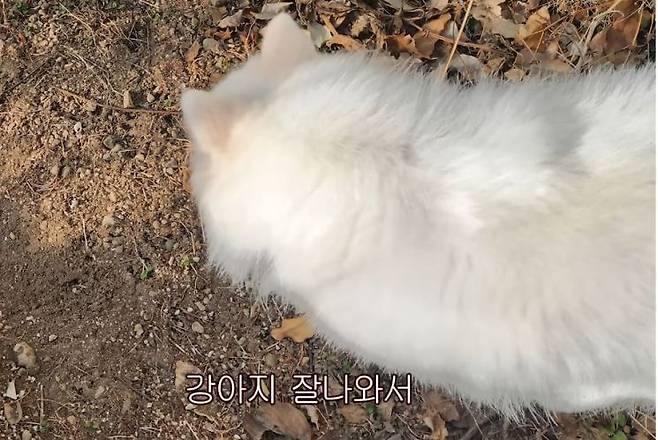 갤럭시를 쓰는 이유. '히지노'가 올린 '갤럭시를 쓰는 친구들에게' 유튜브 캡처.