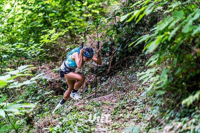 열대 밀림을 연상하게 하는 울릉도의 산을 오르고 있는 장보영씨. 조준 제공