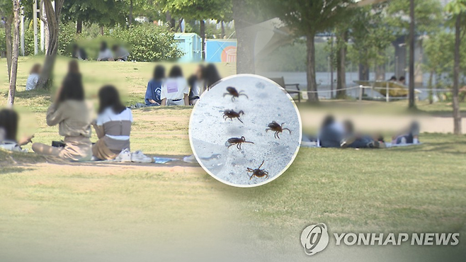나들이객 진드기•들쥐 매개 전염병 주의해야 [사진=연합뉴스]