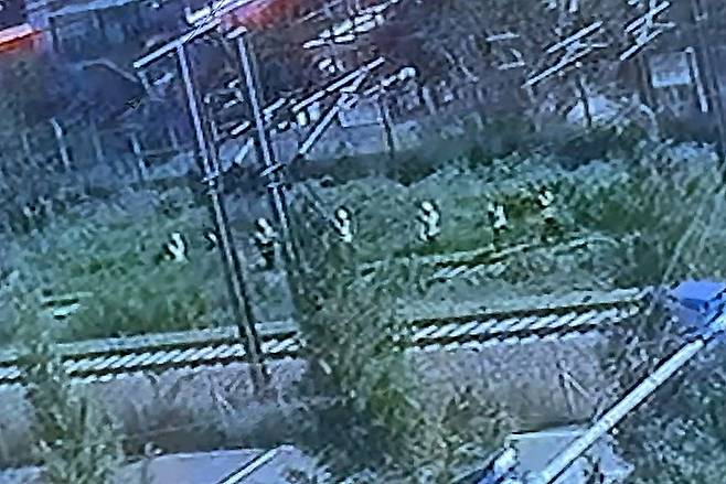 지난 19일 오전 10시 52분쯤 경북 청도군 화양읍 삼신리 경부선 철로에서 무궁화호 열차가 작업자 7명을 치어 2명이 숨지는 사고가 발생했다. 당시 구조물 안전진단 연구원 6명과 코레일 직원 1명이 작업 현장으로 이동하는 모습. 청도=뉴스1