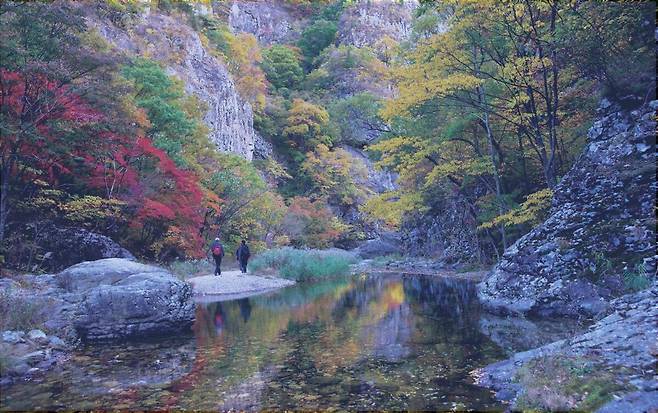 주왕산국립공원 절골계곡 가을철 경관. /주왕산국립공원 제공