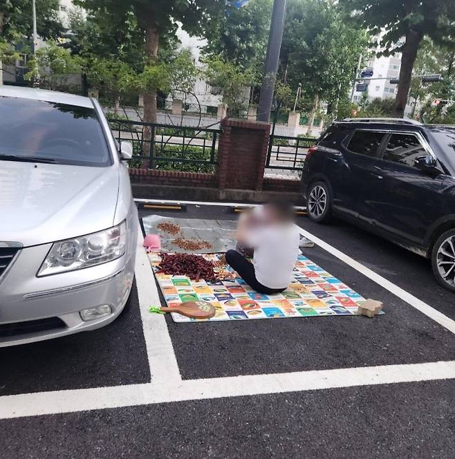 (보배드림 갈무리)