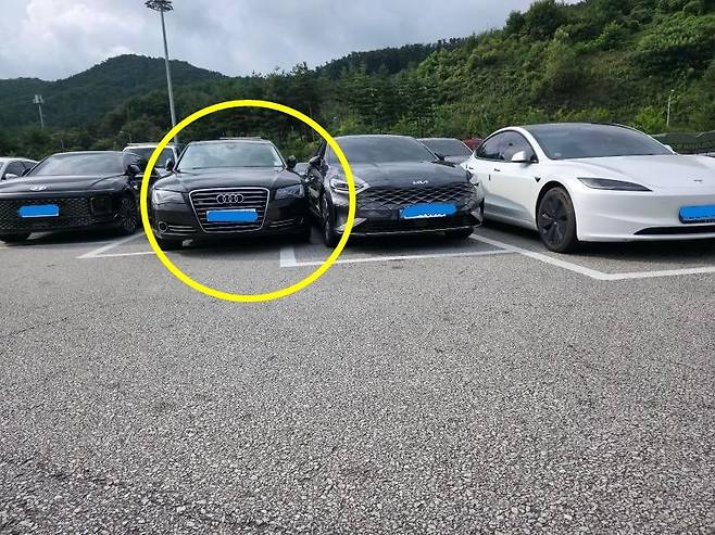 (보배드림 갈무리)