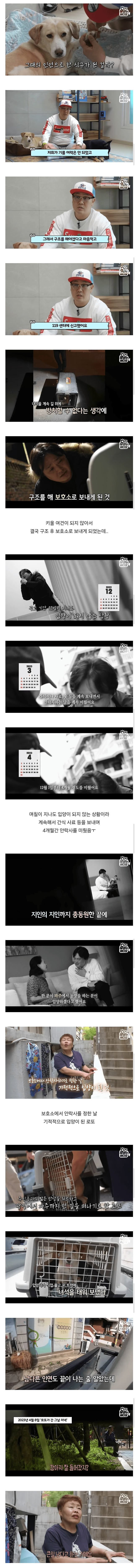 image.png 목숨을 걸고 한 달 만에 집으로 돌아온 강아지