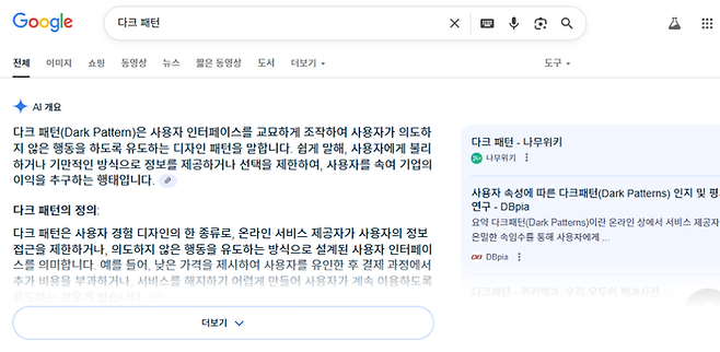 구글 AI 오버뷰(개요) 서비스 / 사진=구글 캡쳐