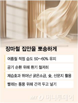 장마철 집안을 뽀송하게/그래픽=김다나 디자인 기자