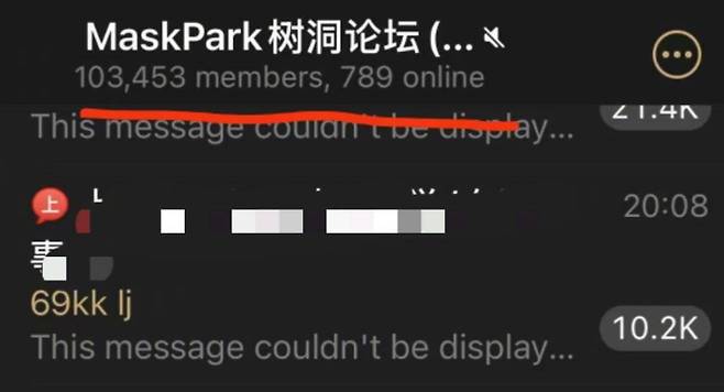 불법 촬영물을 공유하는 텔레그램 대화방 '마스크파크 비밀포럼'. 웨이보 캡처