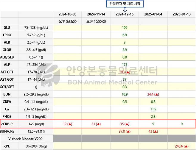 보니 혈액 검사 자료(본동물의료센터 제공) ⓒ 뉴스1
