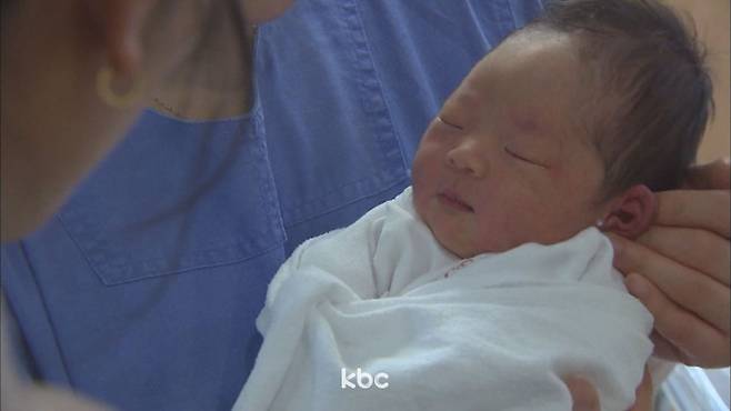 ▲ 자료 이미지