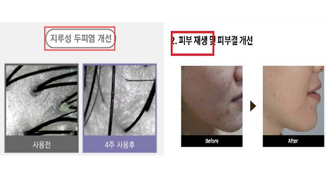 사진출처 : 식품의약품안전처