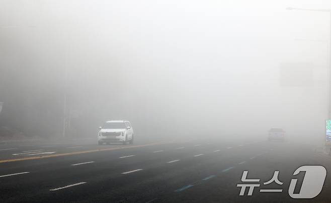 지난 1월 광주시 서구 김대중컨벤션 인근 도로에는 가시거리 200m 미만 짙은 안개로 차량들이 서행하고 있다.(사진은 기사 내용과 무관함) 2025.1.23./뉴스1 ⓒ News1 김태성 기자