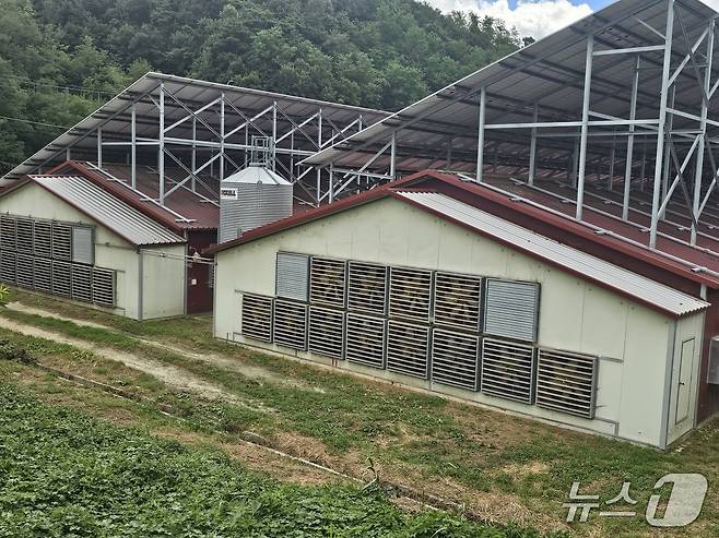 8만마리의 닭을 사육하는 양계농장의 대형 환풍기가 민가쪽으로 바람을 뿜고 있다.2025.8.27/뉴스1 신성훈 기자