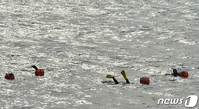 (사진은 기사 내용과 무관함) / 뉴스1 ⓒ News1