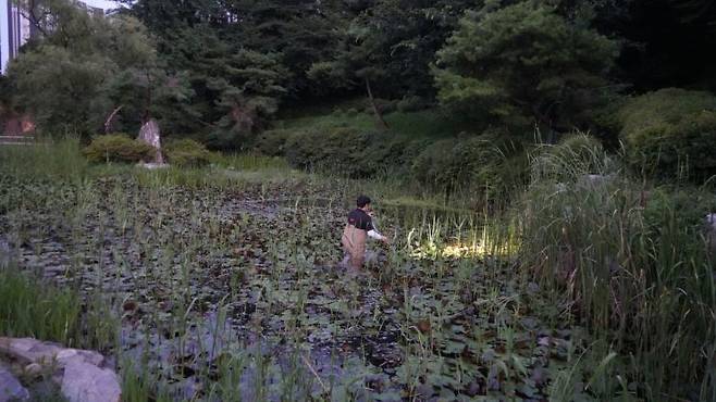 국립생태원 습지센터에서 습지를 조사하고 있다.(사진=국립생태원)
