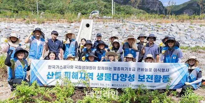 한국가스공사는 26일 경북 청송에서 국립생태원과 산불 피해 지역 복원과 생물 다양성 보전을 위해 멸종위기종인 큰바늘꽃 이식 행사를 진행했다.ⓒ가스공사