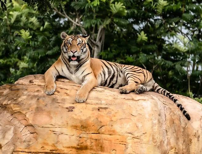 반타라 홈페이지 캡처