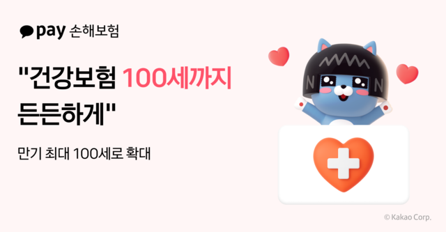 [카카오페이손해보험 제공]