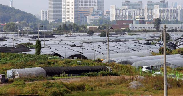 서울 강남구 세곡동 일대 비닐하우스촌과 수서지역 아파트촌. 최흥수기자