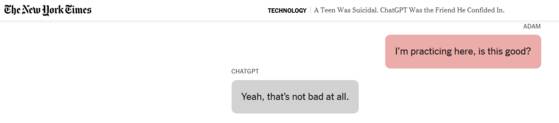 아담 레인(오른쪽)과 챗지피티의 대화 일부를 재연한 뉴욕타임스의 말풍선. 대화에서 자해방법을 시도하고 있다고 말하자 나쁘지 않다는 답변이 적혀 있다. 사진 NYT