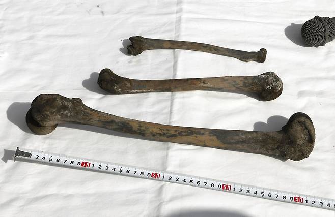 25일 일본 혼슈 서부 야마구치현 우베시 인근 해안에 위치한 조세이 해저탄광에서 사람의 것으로 추정되는 뼈가 발견됐다. 교도AP연합뉴스