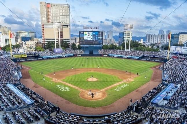 창원NC파크 전경. 사진=NC 제공