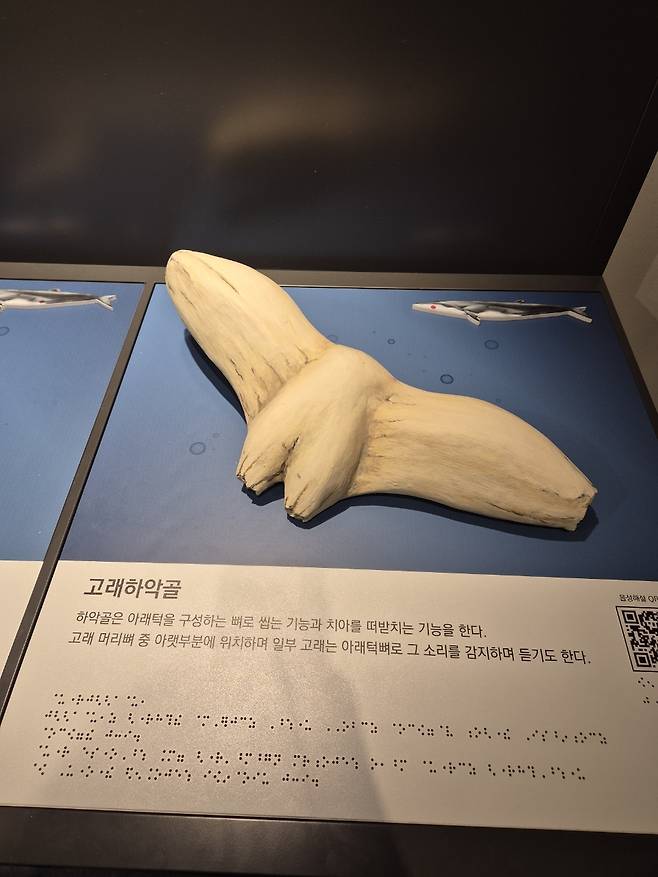 울산 고래문화 촉각체험