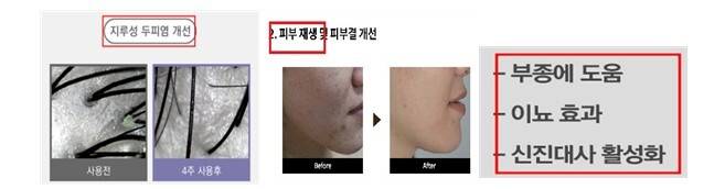 사진=식품의약품안전처 제공