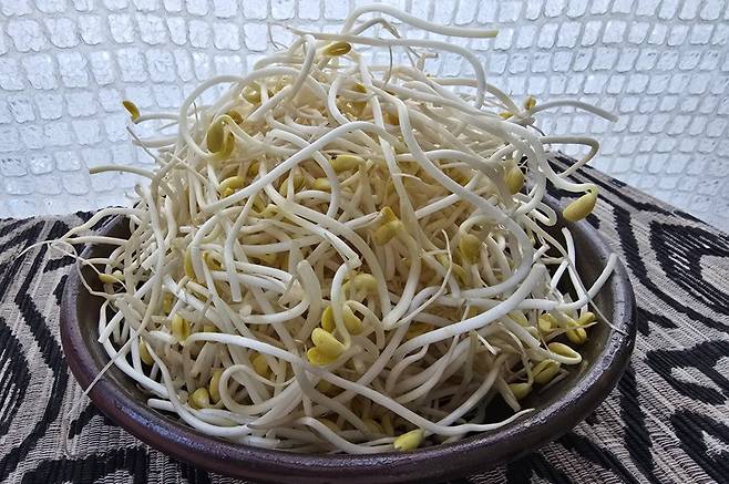 단백질, 비타민, 무기질 등 다양한 영양소를 함유한 콩나물은 우리 식탁을 대표하는 주식 재료로 다양한 조리방법과 메뉴로 사랑받고 있다.