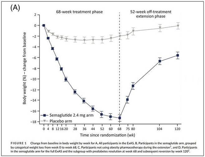 * 출처: JP Wilding, et al. Obesity and Metabolism 2022
