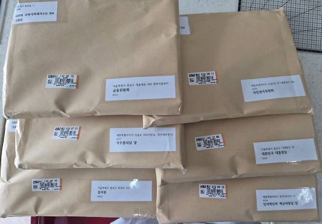 고파이 피해자 모임이 금융당국과 대통령실 등에 송부한 피해사실 서류./고파이 피해자 모임 제공