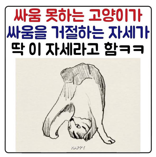 1000044354.jpg 싸움 거절하는 고양이의 자세