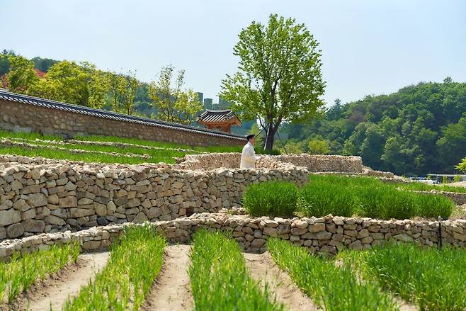영화 '서편제'에서 영감을 얻어 만든 '남도돌담길'