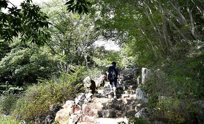 거금생태숲. 울창한 숲이 친구가 된다. 박미향 기자