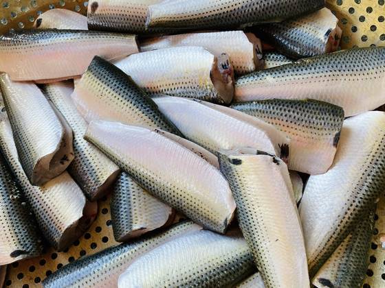 잘 손질된 전어의 색깔은 품격이 넘친다. [사진 박상현]