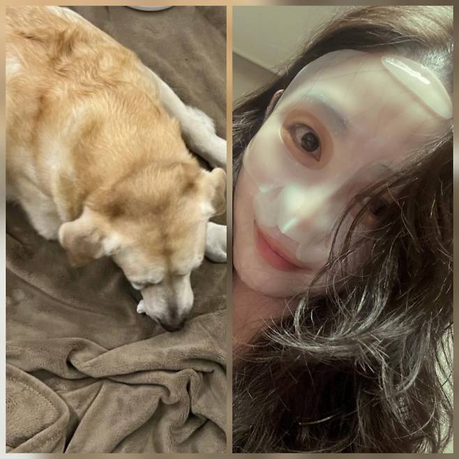 권민아가 반려견과의 이별 소식을 전하며 팬들의 걱정을 잠재웠다.사진=권민아 sns