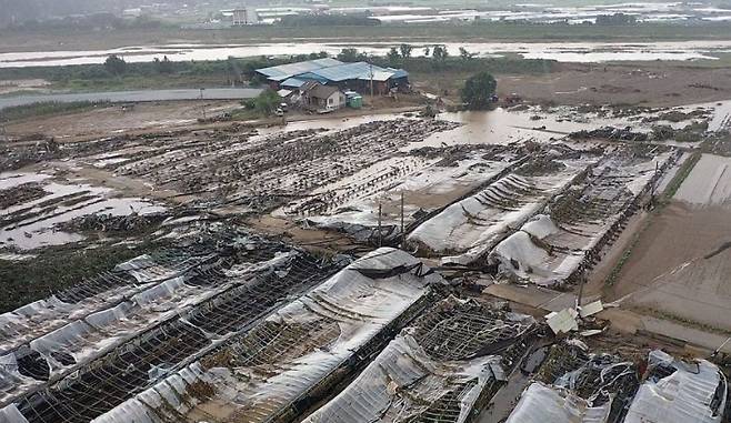 산청 집중호우 피해 딸기 시설하우스. 연합뉴스