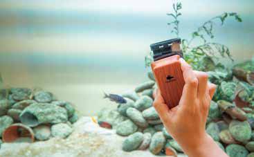 장씨가 자석 청소기로 수조 벽면을 닦고 있다. 자석 청소기는 벽면에 낀 이끼나 이물질을 청소하는 데 편리하다.