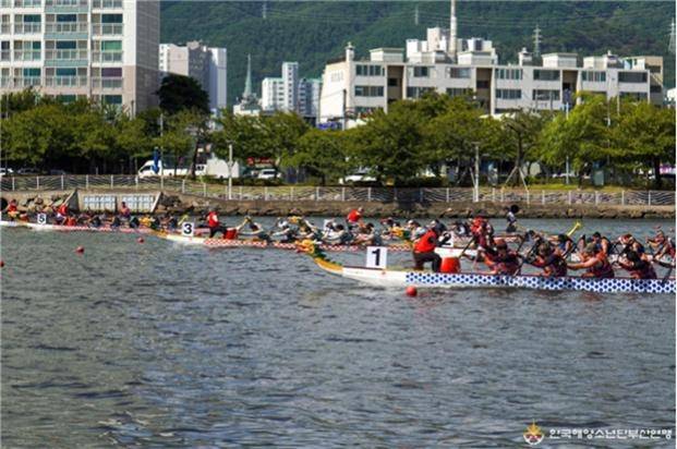 지난해 부산국제드래곤보트대회 [부산시 제공. 재판매 및 DB 금지]
