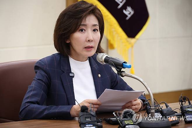 국민의힘 나경원 의원 [연합뉴스 자료사진]