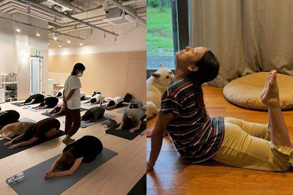 / 사진=정재형, 이효리 인스타그램&nbsp;