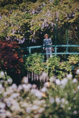 Pont Japonais_Giverny, France, 2023  (㈜미디어앤아트, 그라운드시소 제공)