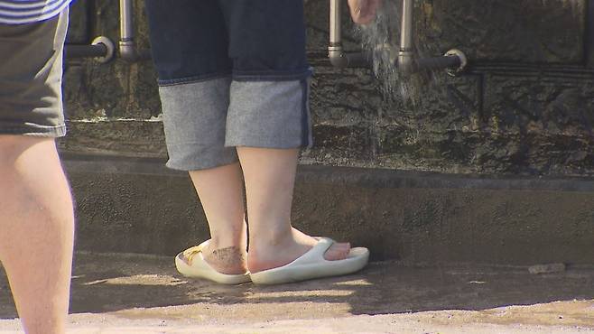 사진은 기사 내용과 관련 없음