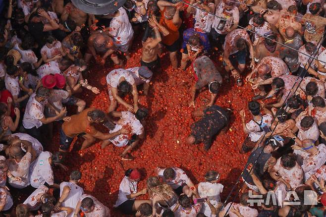 [부뇰=AP/뉴시스] 지난 27일(현지 시간) 스페인 발렌시아 인근 부뇰 마을에서 열린 연례 '라 토마티나' 축제 참가자들이 토마토를 던지고 있다. 이 축제는 매년 8월 마지막 수요일에 열리며 1945년경, 마을 축제 도중 우연히 시작된 토마토 던지기에서 유래한 것으로 알려져 있다. 2025.08.29.