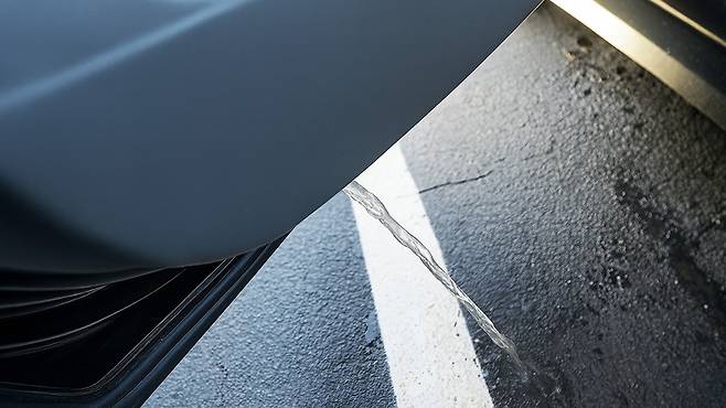 기사 내용의 이해를 돕기 위한 AI 이미지