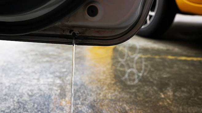 기사 내용의 이해를 돕기 위한 AI 이미지