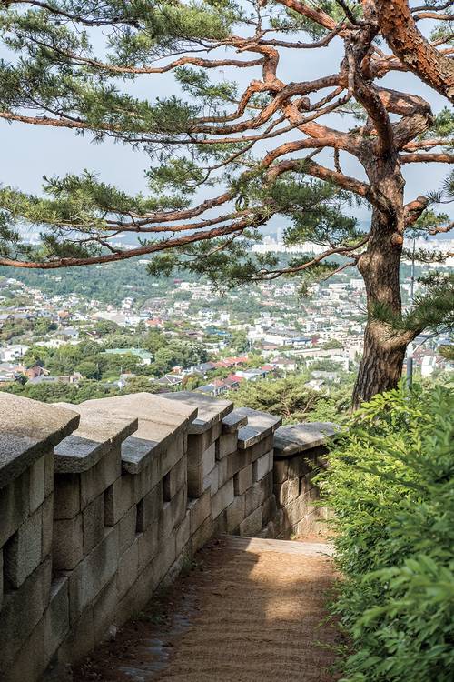 백악 마루에서 청운대 가는 길