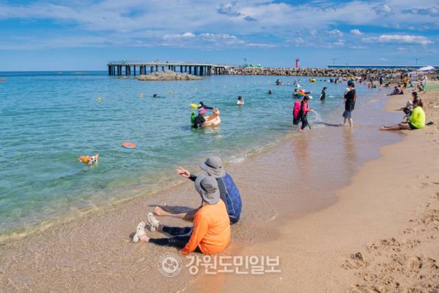 ▲ 반암낚시공원을 마주한 해변은 반려동물 전용 해변으로 유명한 반비치가 자리해 댕댕이들에게는 무릉도원이 따로 없다.