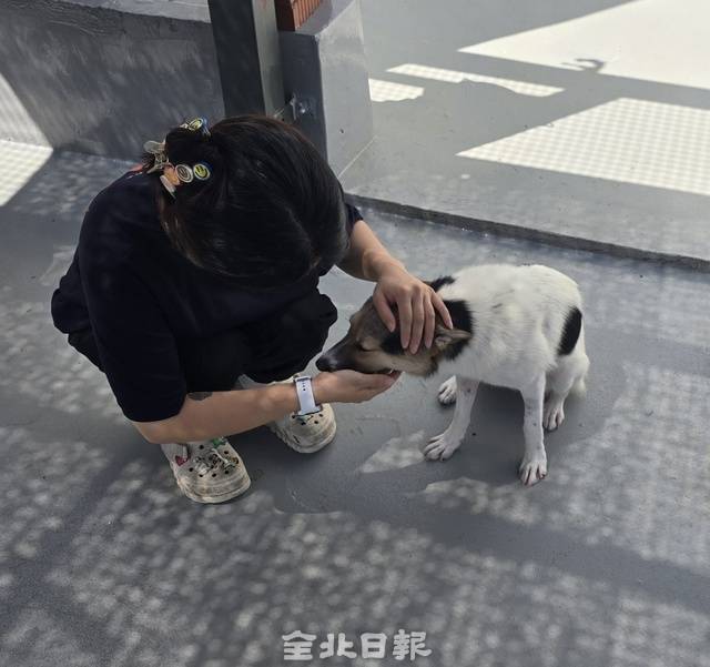 동물자유연대 활동가와 지내고 있는 포근이. 김문경 기자